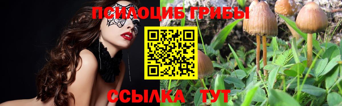 Коряжма  Галлюциногенные грибы мицелий  Галлюциногенные грибы мухоморы  хочу   Вход с VPN 