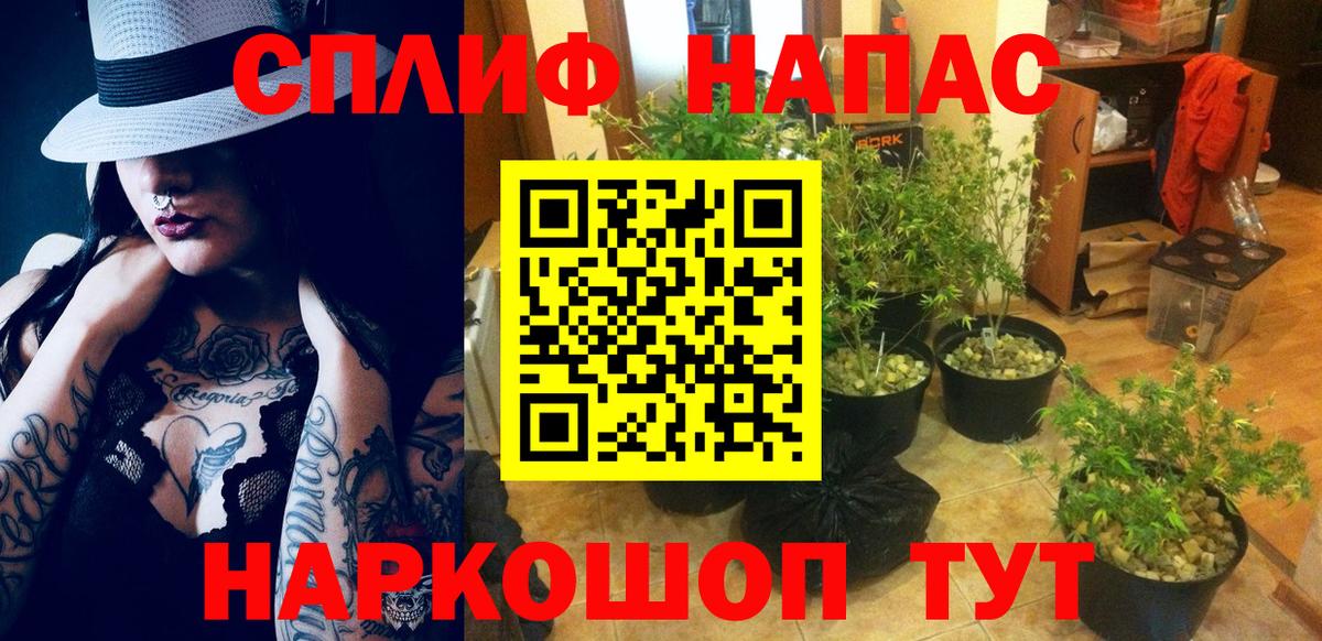 Конопля ГИДРОПОН Коряжма